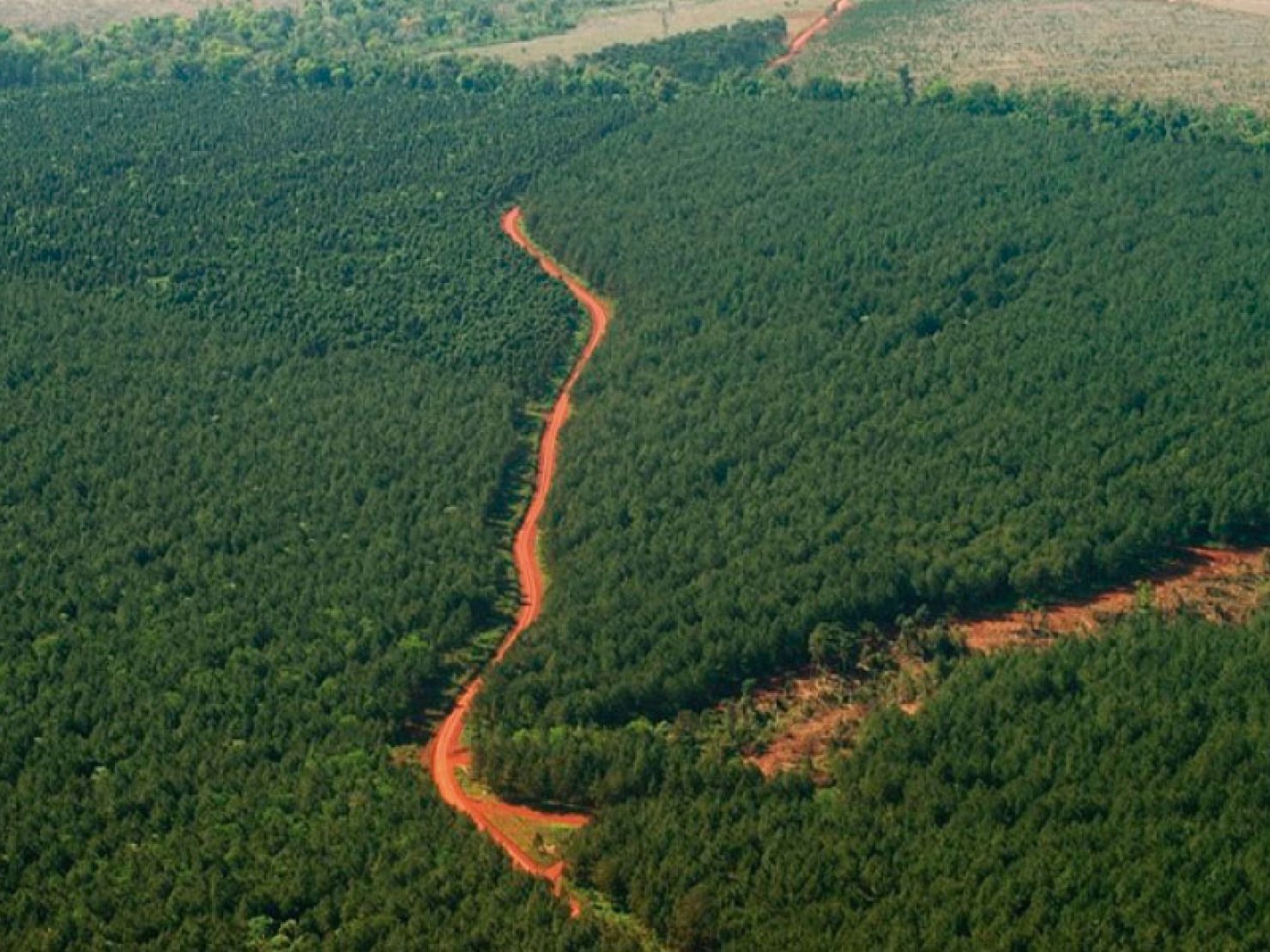 LEY 25080. Generalidades