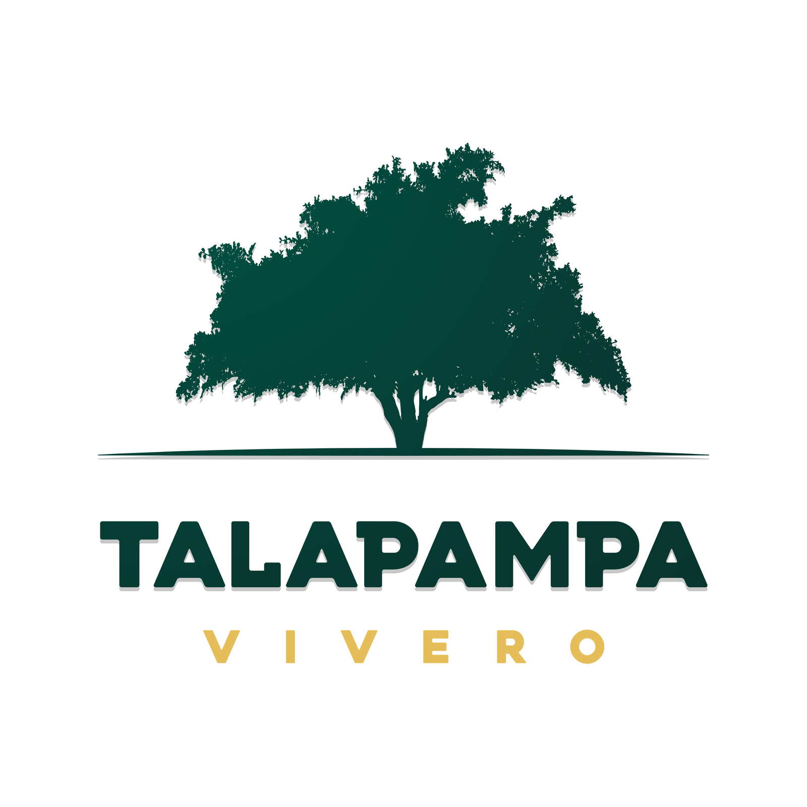 Talapampa